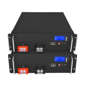 സോളാർ എനർജി സ്റ്റോറേജ് സിസ്റ്റങ്ങൾക്കുള്ള ഫാക്ടറി കസ്റ്റമൈസേഷൻ ലിഥിയം അയൺ ബാറ്ററി 48V 100Ah LiFePO4